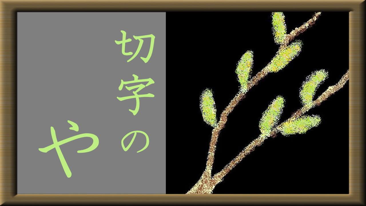 猫柳（俳句の作り方）